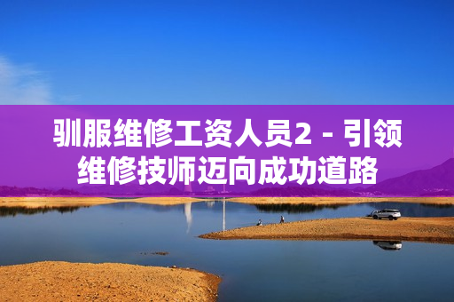 驯服维修工资人员2 - 引领维修技师迈向成功道路