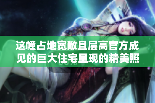 这幢占地宽敞且层高官方成见的巨大住宅呈现的精美照片