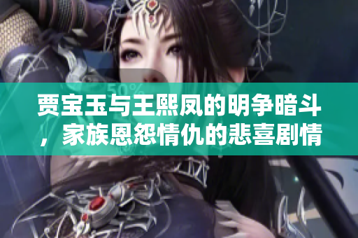 贾宝玉与王熙凤的明争暗斗，家族恩怨情仇的悲喜剧情