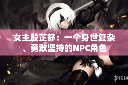 女主殷芷舒：一个身世复杂、勇敢坚持的NPC角色
