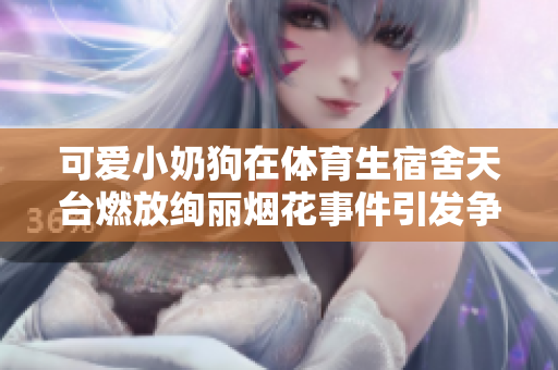 可爱小奶狗在体育生宿舍天台燃放绚丽烟花事件引发争议