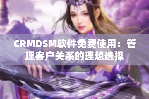 CRMDSM软件免费使用：管理客户关系的理想选择