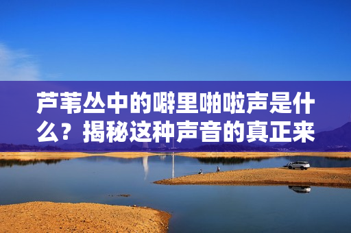 芦苇丛中的噼里啪啦声是什么？揭秘这种声音的真正来源