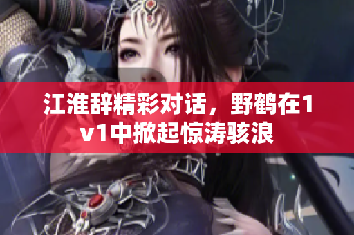江淮辞精彩对话，野鹤在1v1中掀起惊涛骇浪