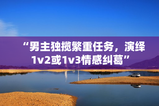 “男主独揽繁重任务，演绎1v2或1v3情感纠葛”