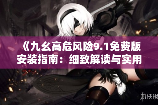 《九幺高危风险9.1免费版安装指南：细致解读与实用技巧分享》