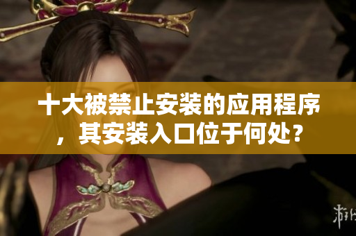 十大被禁止安装的应用程序，其安装入口位于何处？