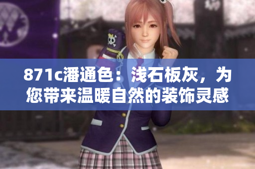 871c潘通色：浅石板灰，为您带来温暖自然的装饰灵感