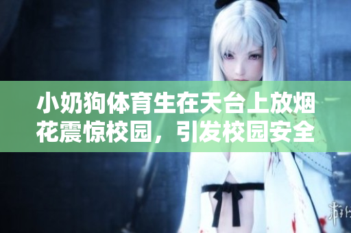 小奶狗体育生在天台上放烟花震惊校园，引发校园安全争议