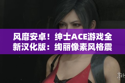 风靡安卓！绅士ACE游戏全新汉化版：绚丽像素风格震撼登场