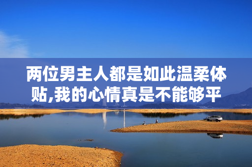 两位男主人都是如此温柔体贴,我的心情真是不能够平静