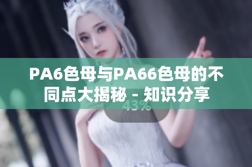 PA6色母与PA66色母的不同点大揭秘 - 知识分享