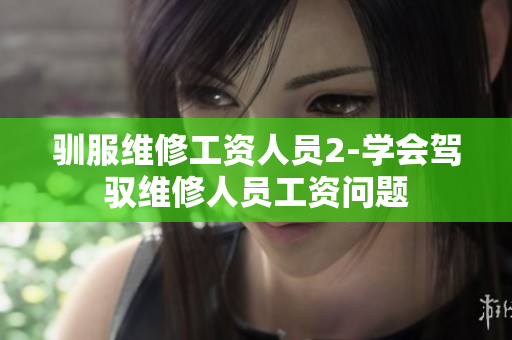 驯服维修工资人员2-学会驾驭维修人员工资问题