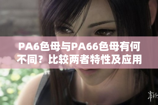PA6色母与PA66色母有何不同？比较两者特性及应用领域