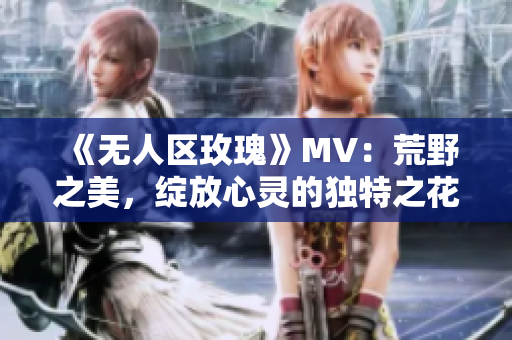 《无人区玫瑰》MV：荒野之美，绽放心灵的独特之花