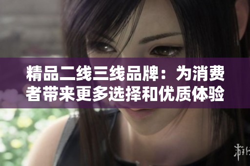 精品二线三线品牌：为消费者带来更多选择和优质体验
