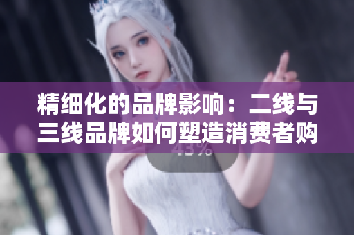 精细化的品牌影响：二线与三线品牌如何塑造消费者购买决策？