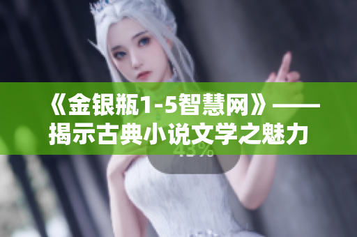 《金银瓶1-5智慧网》——揭示古典小说文学之魅力