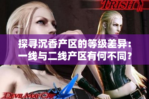 探寻沉香产区的等级差异：一线与二线产区有何不同？