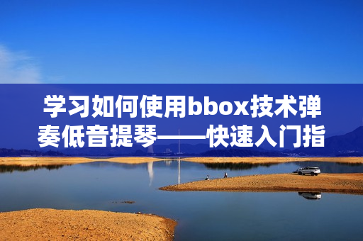 学习如何使用bbox技术弹奏低音提琴——快速入门指南