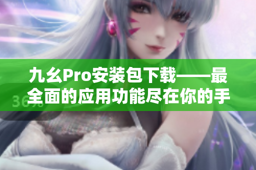九幺Pro安装包下载——最全面的应用功能尽在你的手机中
