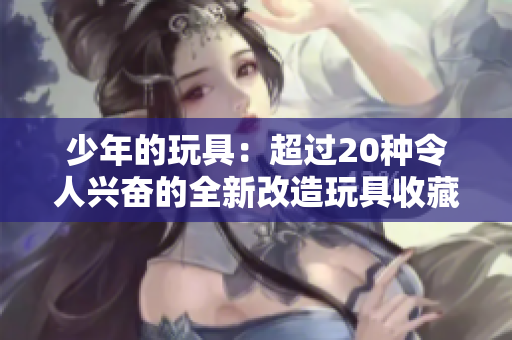 少年的玩具：超过20种令人兴奋的全新改造玩具收藏指南