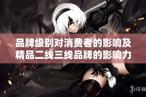 品牌级别对消费者的影响及精品二线三线品牌的影响力分析