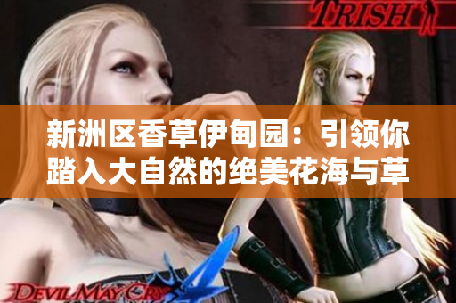 新洲区香草伊甸园：引领你踏入大自然的绝美花海与草原