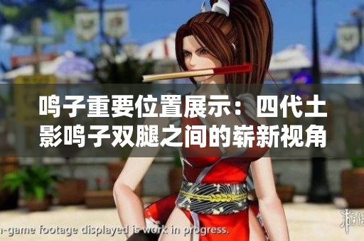 鸣子重要位置展示：四代土影鸣子双腿之间的崭新视角