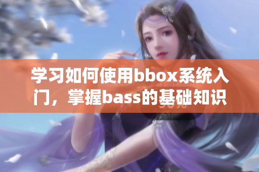 学习如何使用bbox系统入门，掌握bass的基础知识