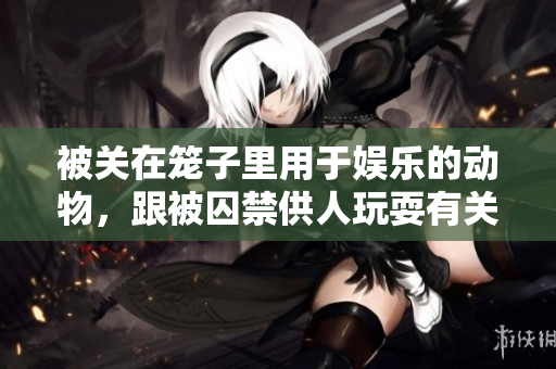 被关在笼子里用于娱乐的动物，跟被囚禁供人玩耍有关的图片