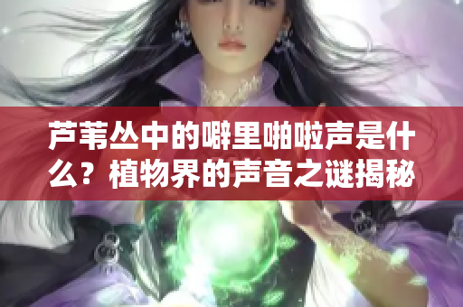 芦苇丛中的噼里啪啦声是什么？植物界的声音之谜揭秘