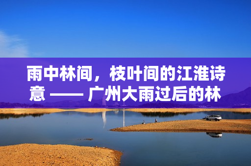 雨中林间，枝叶间的江淮诗意 —— 广州大雨过后的林念江美景