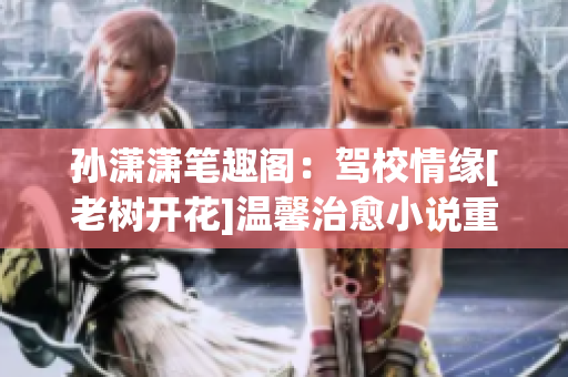 孙潇潇笔趣阁：驾校情缘[老树开花]温馨治愈小说重新诠释
