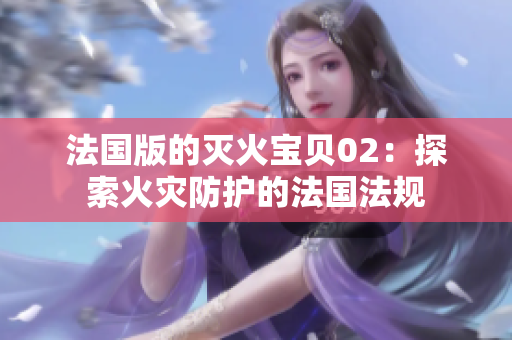 法国版的灭火宝贝02：探索火灾防护的法国法规