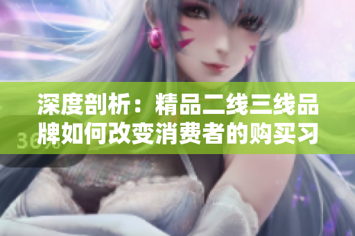 深度剖析：精品二线三线品牌如何改变消费者的购买习惯