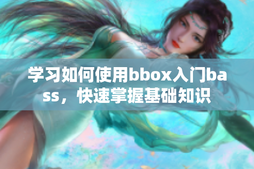 学习如何使用bbox入门bass，快速掌握基础知识