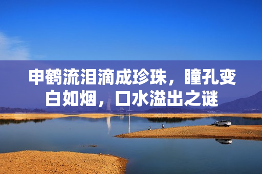 申鹤流泪滴成珍珠，瞳孔变白如烟，口水溢出之谜