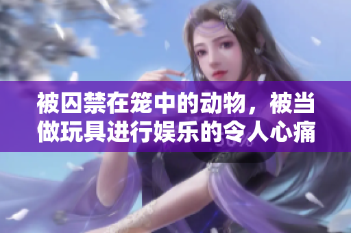 被囚禁在笼中的动物，被当做玩具进行娱乐的令人心痛的图像