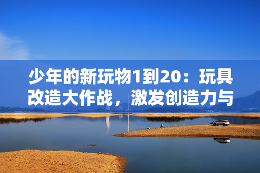 少年的新玩物1到20：玩具改造大作战，激发创造力与技术天赋！