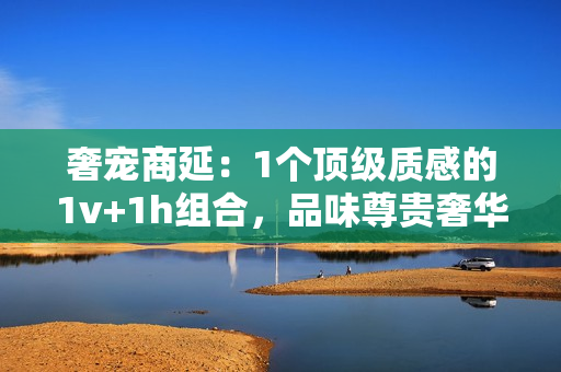 奢宠商延：1个顶级质感的1v+1h组合，品味尊贵奢华生活