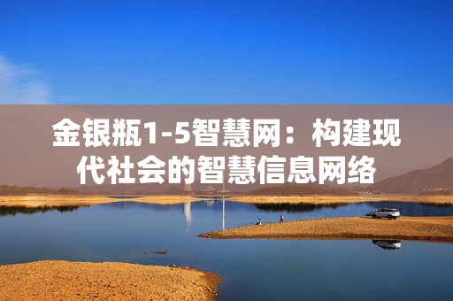 金银瓶1-5智慧网：构建现代社会的智慧信息网络