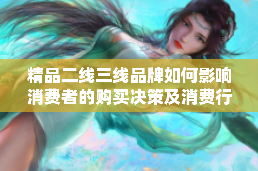 精品二线三线品牌如何影响消费者的购买决策及消费行为