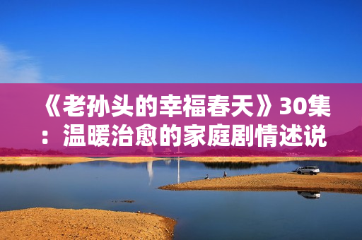 《老孙头的幸福春天》30集：温暖治愈的家庭剧情述说人生百味