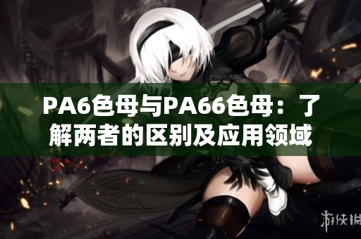 PA6色母与PA66色母：了解两者的区别及应用领域